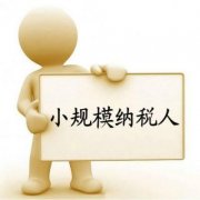 在成都，小規模納稅人注冊企業(yè)后，如何報稅登記？ 