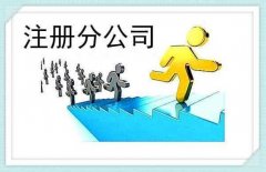 成都分公司注冊需要什么材料？ 