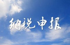 小規模納稅人在進(jìn)行納稅申報時(shí)，有哪些值得注意的事項？ 