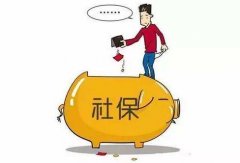 公司進(jìn)行社保開(kāi)戶(hù)的流程是怎樣的？ 