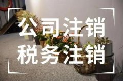 公司注銷(xiāo)要注意什么問(wèn)題？公司注銷(xiāo)要花多少錢(qián)？ 